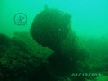 scuba diving photo