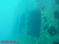 scuba diving photo