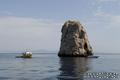 scuba diving photo