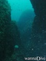 scuba diving photo