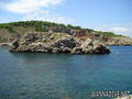 scuba diving photo