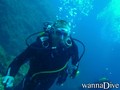 scuba diving photo
