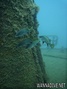 scuba diving photo