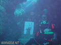 scuba diving photo