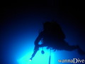 scuba diving photo