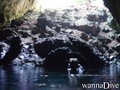 scuba diving photo