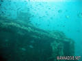 scuba diving photo