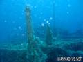 scuba diving photo