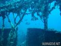 scuba diving photo