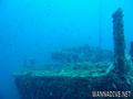 scuba diving photo