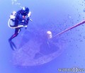 scuba diving photo