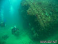 scuba diving photo