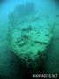 scuba diving photo