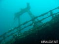 scuba diving photo