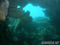 scuba diving photo