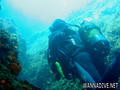 scuba diving photo