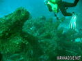 scuba diving photo