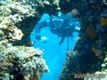 scuba diving photo