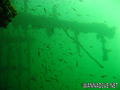 scuba diving photo
