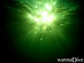 scuba diving photo
