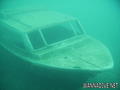 scuba diving photo