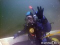 scuba diving photo