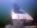 scuba diving photo