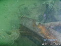 scuba diving photo