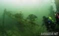 scuba diving photo