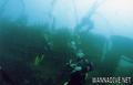 scuba diving photo