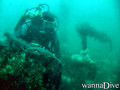scuba diving photo