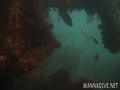 scuba diving photo