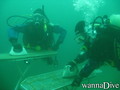 scuba diving photo