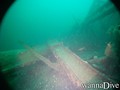 scuba diving photo