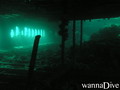scuba diving photo
