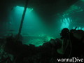 scuba diving photo