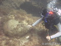 scuba diving photo