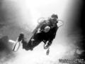 scuba diving photo