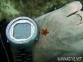 scuba diving photo
