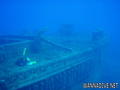 scuba diving photo