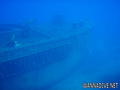 scuba diving photo