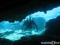 scuba diving photo