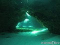 scuba diving photo