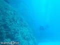 scuba diving photo