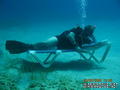 scuba diving photo