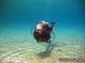 scuba diving photo