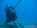 scuba diving photo