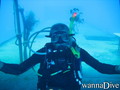 scuba diving photo