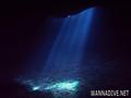 scuba diving photo