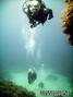 scuba diving photo